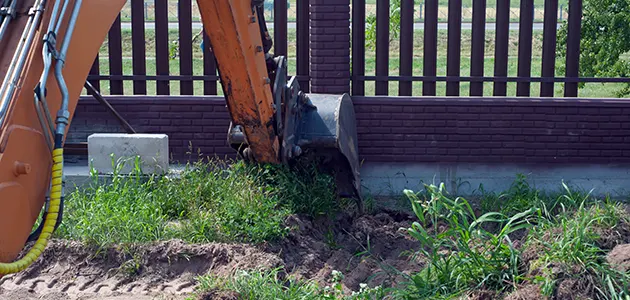 Tree Service Miami